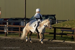 Collecting Ring Fancy Dress!